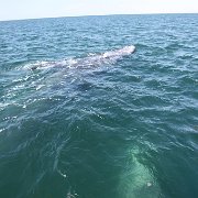 IMG 0001 2 (369)
